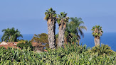 Desguaces Insulares - Repuestos Icod De Los Vinos en Santa Cruz De Tenerife